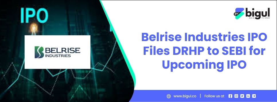 Belrise Industries DRHP IPO